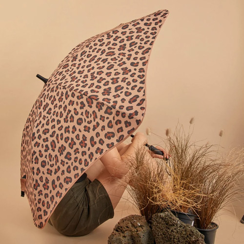 Umbrellas